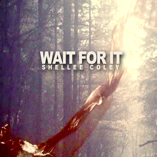 Wait for It Cover Art Blurred Background