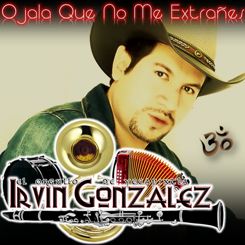 Ojala Que No Me Extrañes Cover Art Blurred Background