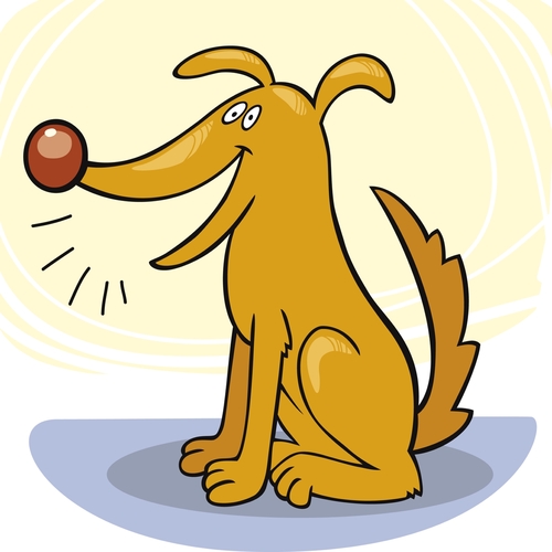 Barking Dogs (Dog Bark) Cover Art Blurred Background