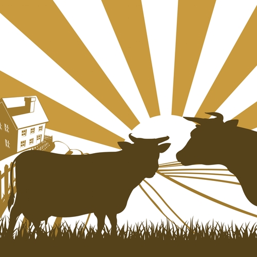 Cow Moo (Mooing Cow Ringer) Cover Art Blurred Background