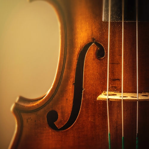 Pachelbel: Canon in D Cover Art Blurred Background