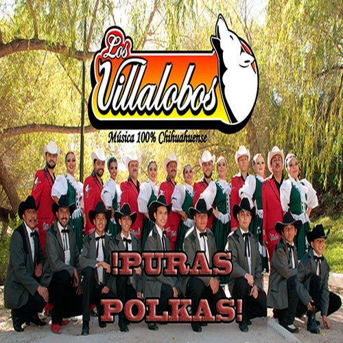 !Puras Polkas! Cover Art Blurred Background