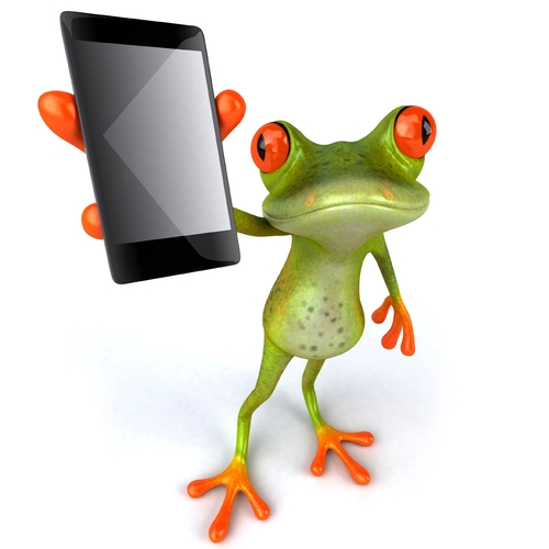 Frog Cover Art Blurred Background