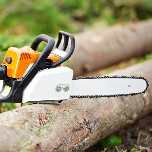 Chainsaw Roaring (Chainsaw Ringer) Cover Art Blurred Background