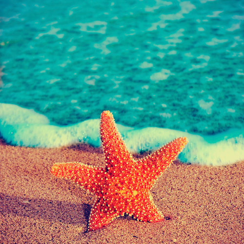 The Ocean (Peaceful & Calm Wake Up Ringers) Cover Art Blurred Background