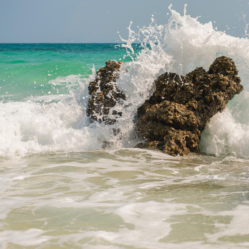 Ocean Waves (Peaceful & Calm Shoreline) Cover Art Blurred Background