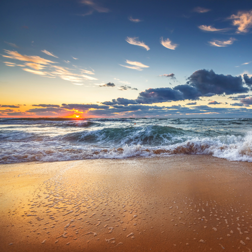 Ocean Waves & Seagulls (Peaceful & Calm Oceans) Cover Art Blurred Background