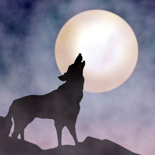 Wolf Howl Cover Art Blurred Background