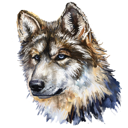 Scary Wolf Howling (Night Time Wolves Howl) Cover Art Blurred Background