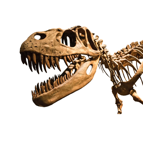 Dinosaur Scream (T-Rex Roar) Cover Art Blurred Background
