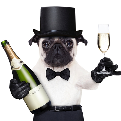 Puppy Monkey Baby (Techno Remix) Cover Art Blurred Background