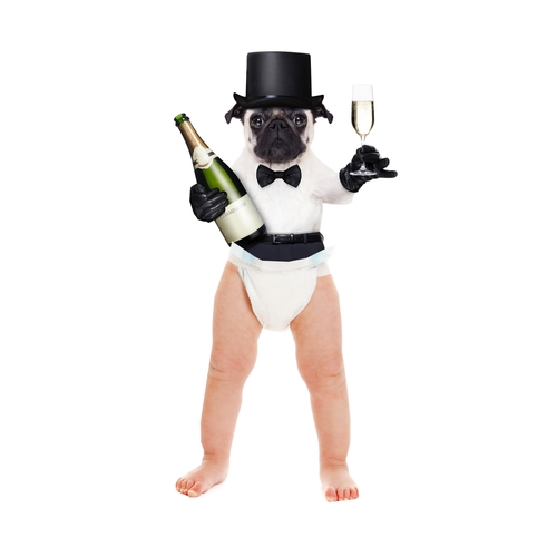 Puppy Monkey Baby (PMB) Cover Art Blurred Background