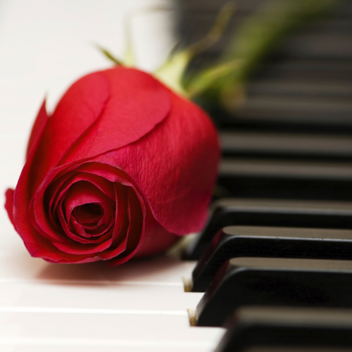Beethoven Moonlight Sonata Cover Art Blurred Background