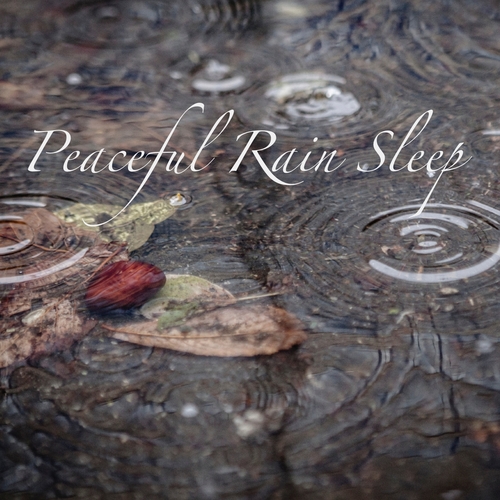 Peaceful Rain Sleep Cover Art Blurred Background