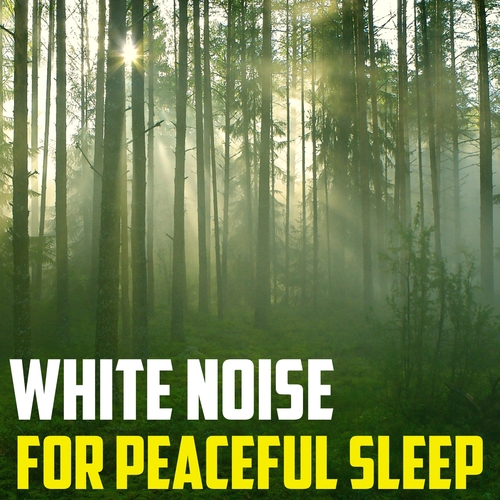 White Noise (For Peaceful Sleep) Cover Art Blurred Background