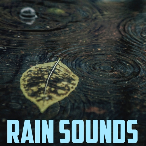 Rain Sounds (Calming Rain for Peaceful Sleep) Cover Art Blurred Background