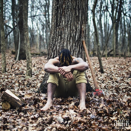 Language of the Soul Cover Art Blurred Background