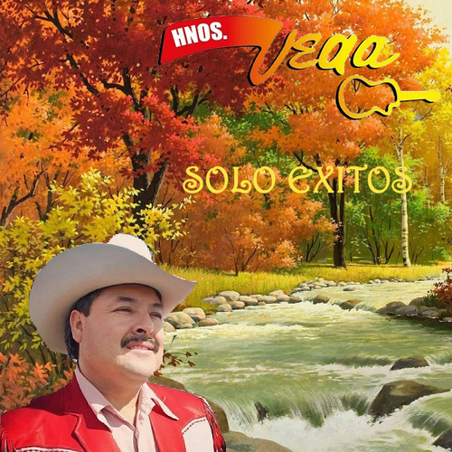 Solo Exitos Cover Art Blurred Background