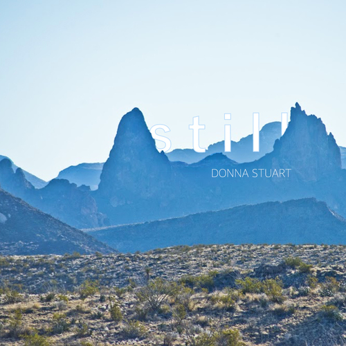 Still Cover Art Blurred Background