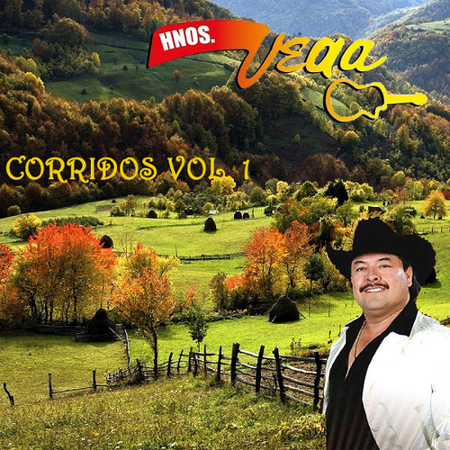 Puros Corridos, vol. 1 Cover Art Blurred Background