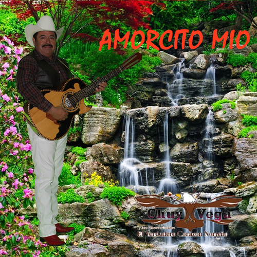 Amorcito Mio Cover Art Blurred Background