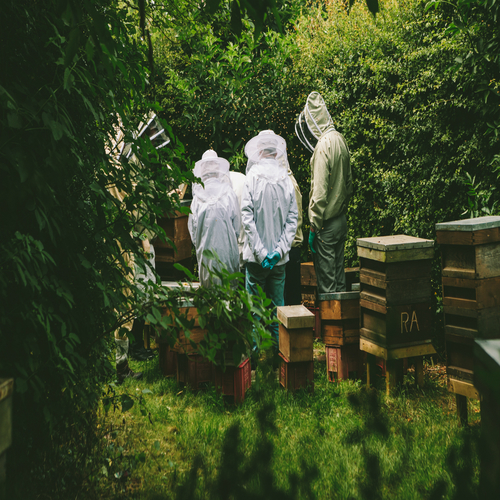 Lake Joy Cover Art Blurred Background