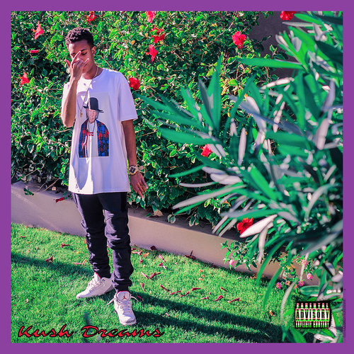 Ku$h Dream$ Cover Art Blurred Background