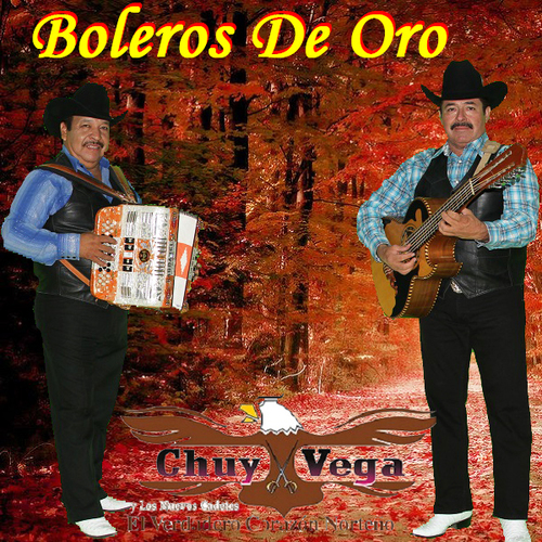 Boleros de Oro Cover Art Blurred Background