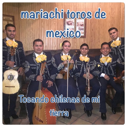 Tocando Chilenas de Mi Tierra Cover Art Blurred Background