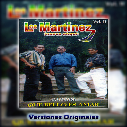 Que Bello Es Amar, vol. 11 Cover Art Blurred Background