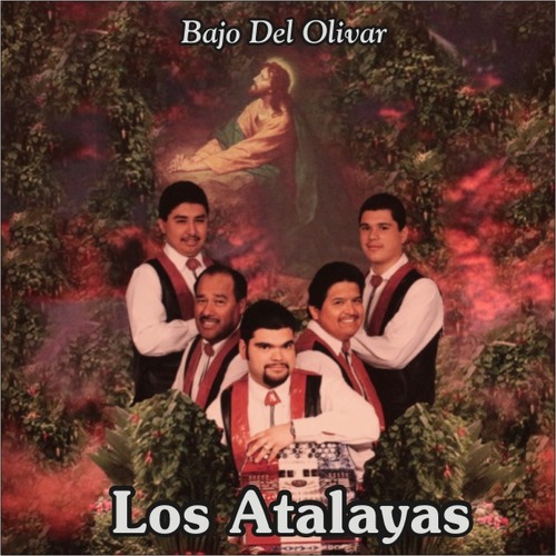 Bajo del Olivar Cover Art Blurred Background