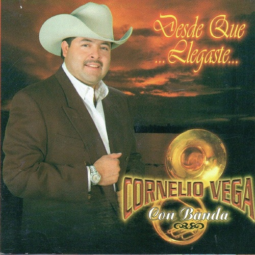 Desde Que Llegaste Cover Art Blurred Background