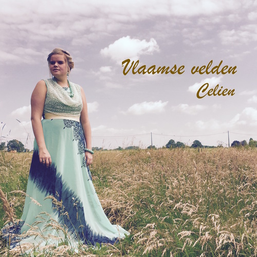 Vlaamse velden Cover Art Blurred Background
