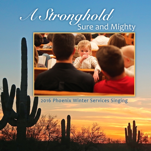 A Stronghold Sure and Mighty (Live) Cover Art Blurred Background