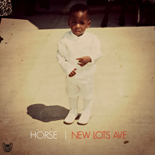 New Lots Ave Cover Art Blurred Background