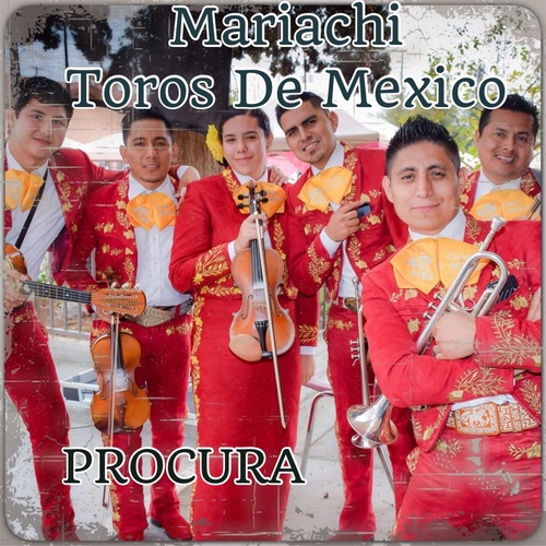 Procura Cover Art Blurred Background