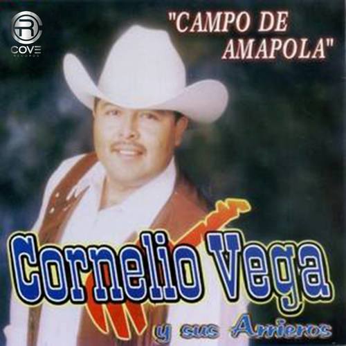 Campo de Amapola Cover Art Blurred Background