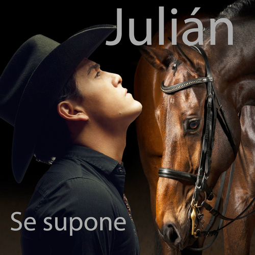 Se supone Cover Art Blurred Background