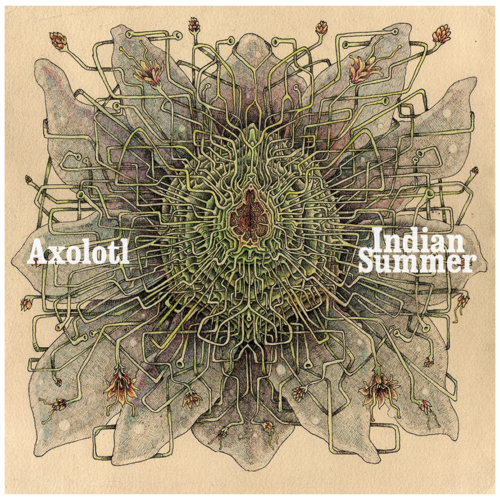 Axolotl / Indian Summer Cover Art Blurred Background