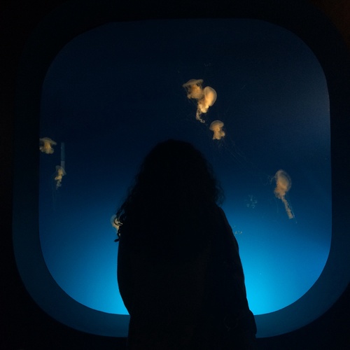 Everyone Else Cover Art Blurred Background