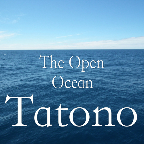 The Open Ocean Cover Art Blurred Background