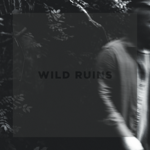 Wild Ruins Cover Art Blurred Background