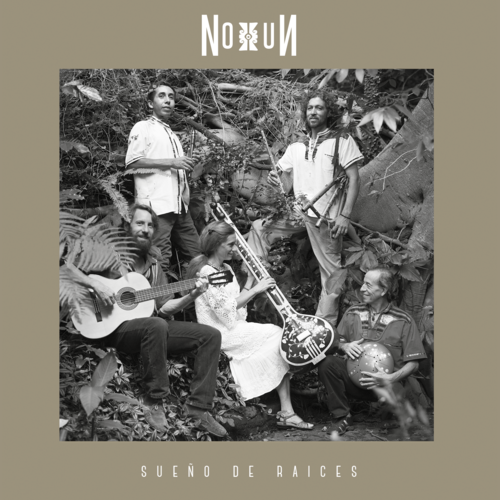 Sueño de raíces Cover Art Blurred Background