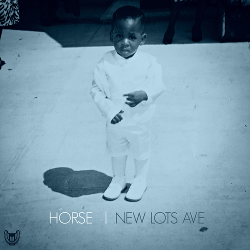 New Lots Ave Cover Art Blurred Background