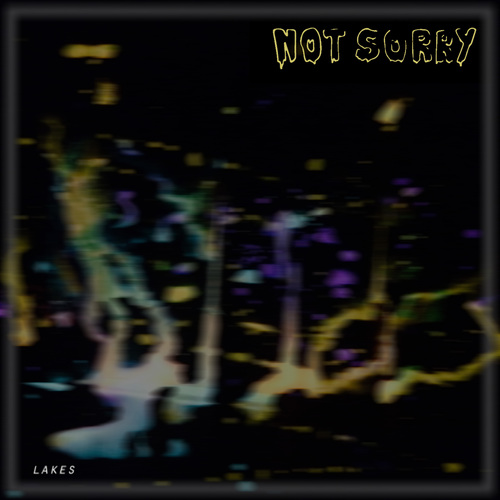 Not Sorry Cover Art Blurred Background