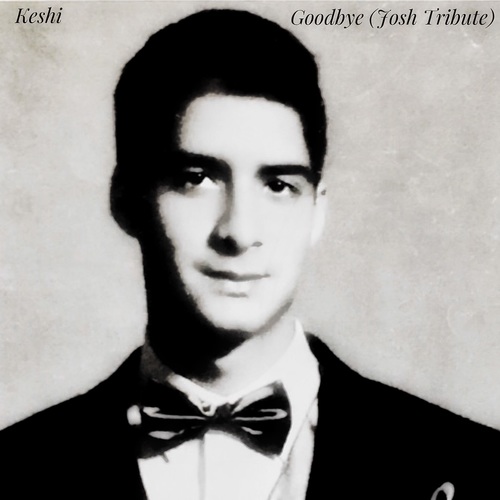 Goodbye (Josh Tribute) Cover Art Blurred Background