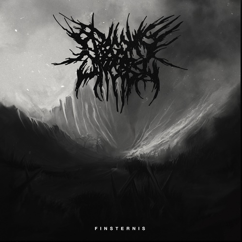 Finsternis Cover Art Blurred Background