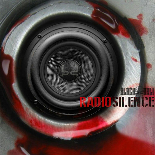 Radio Silence Cover Art Blurred Background