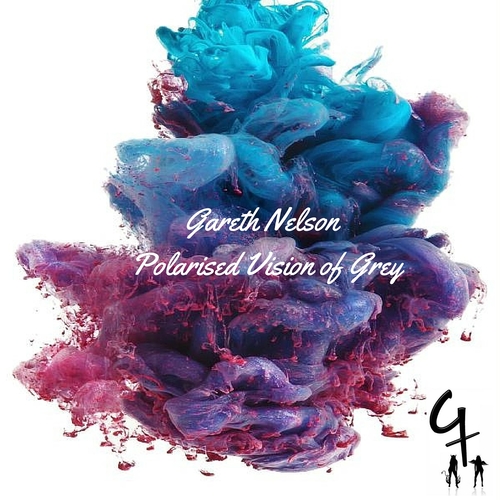 Polarised Vision of Grey Cover Art Blurred Background