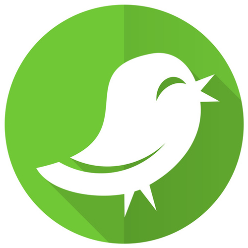 Bird Call Cover Art Blurred Background